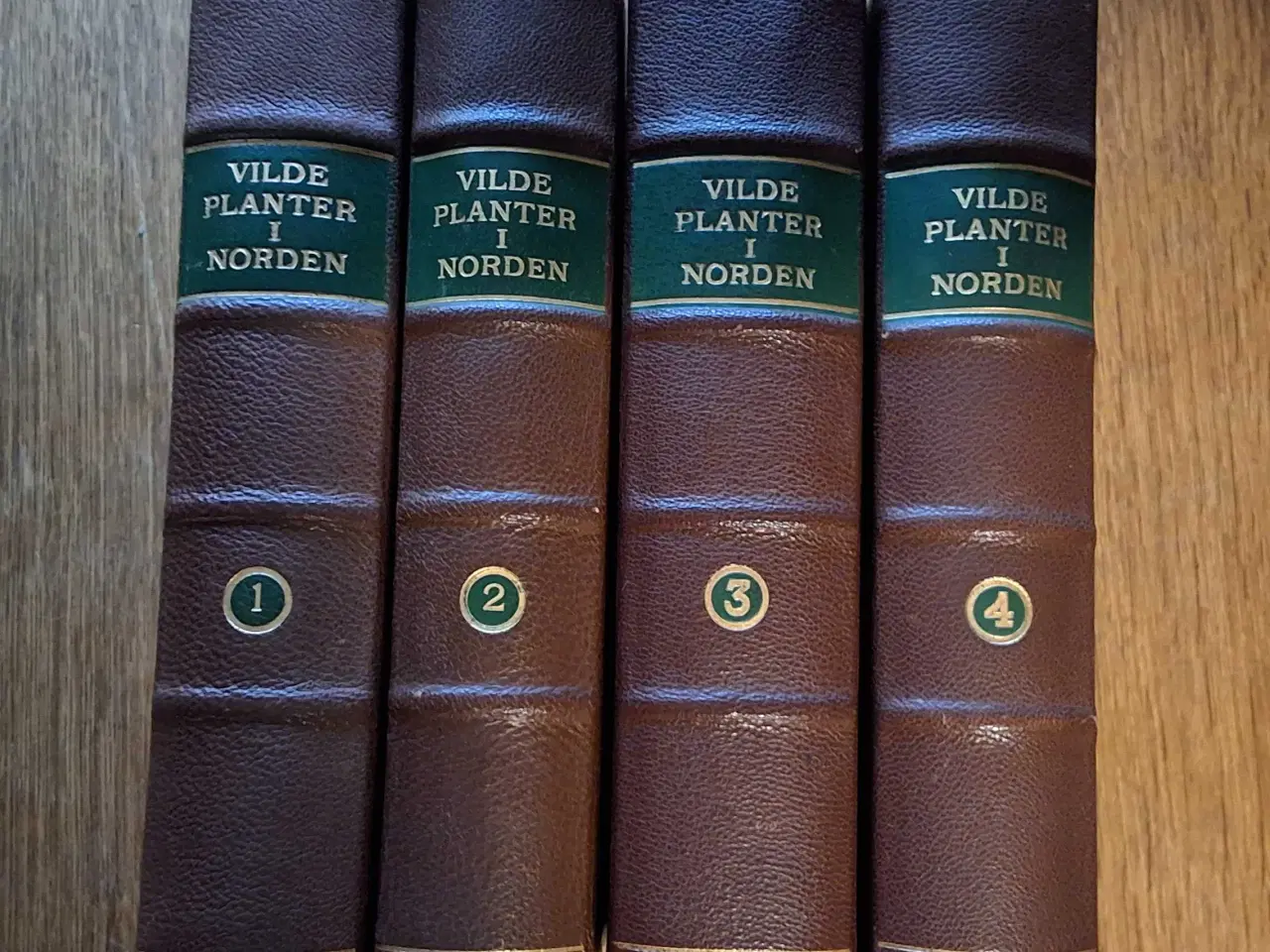 Billede 1 - VILDE PLANTER I NORDEN 1-4 med 919 farvefotos 