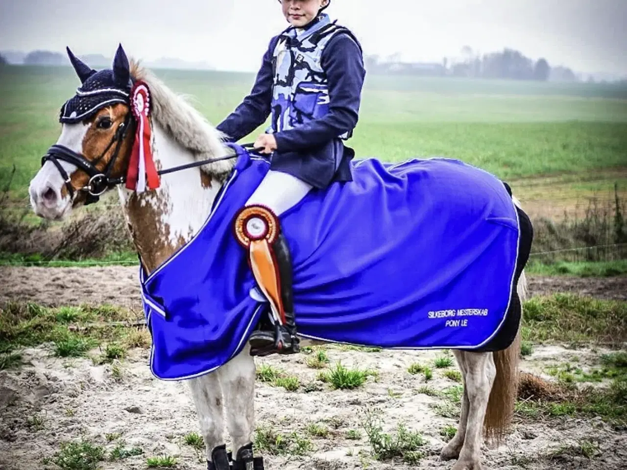 Billede 5 - Sød 2’er pony sælges 