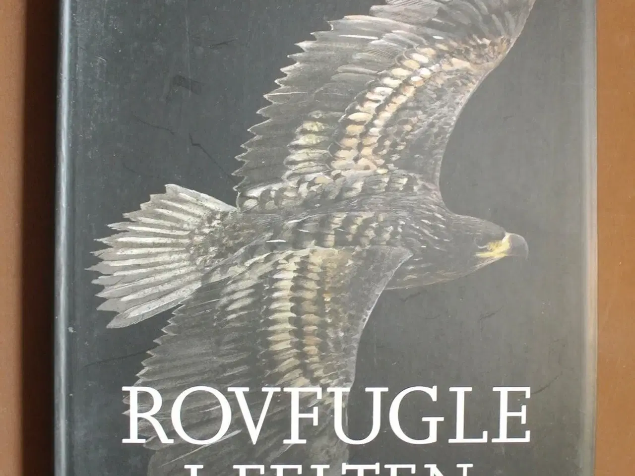 Billede 1 - rovfugle i felten, af klaus malling olsen. ill. ca