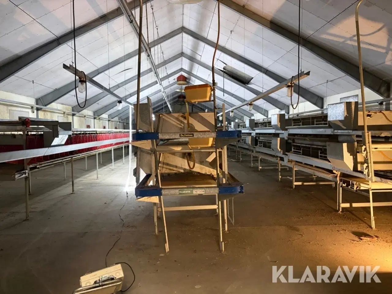 Billede 2 - Produktionslinje Big Dutchman + Landmeco æglægger system