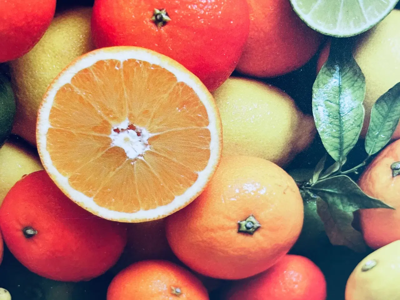 Billede 3 - Citruspresser NY 