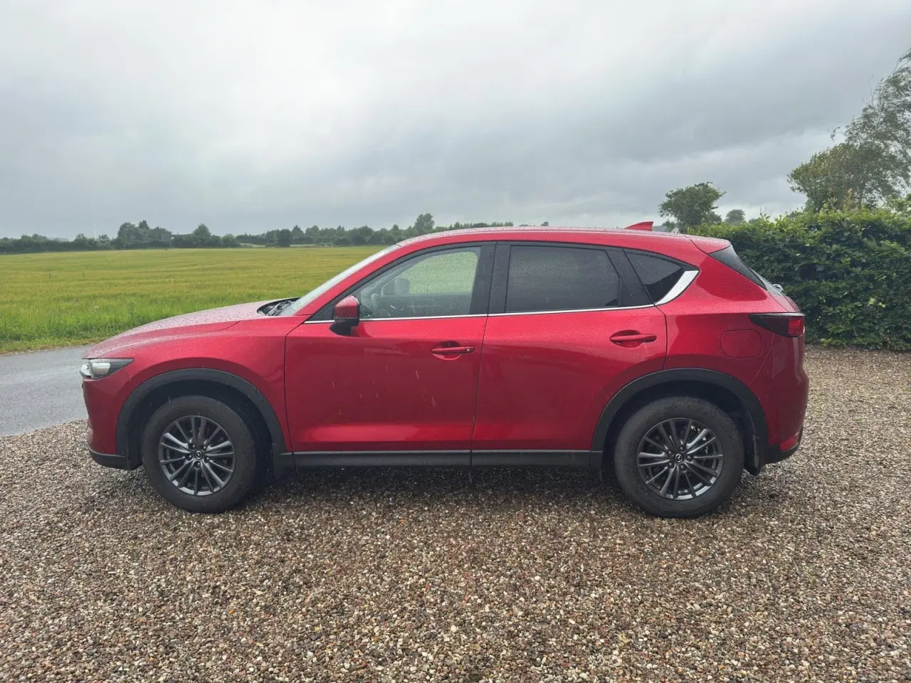 Billede 5 - Mazda CX-5 2,0 SkyActiv-G 165 Sense