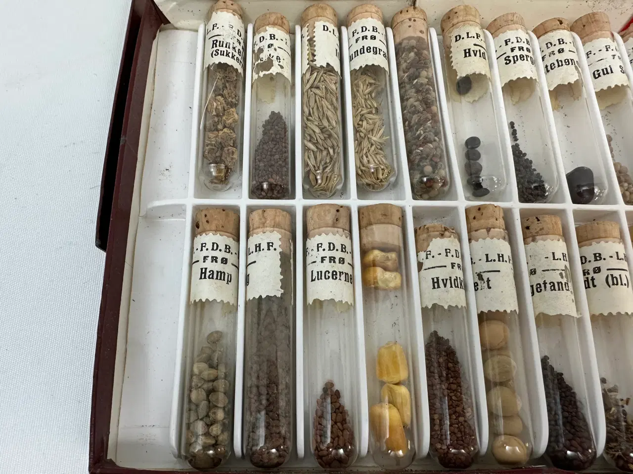 Billede 6 - Ældre frøsamling i 36 cylindere 