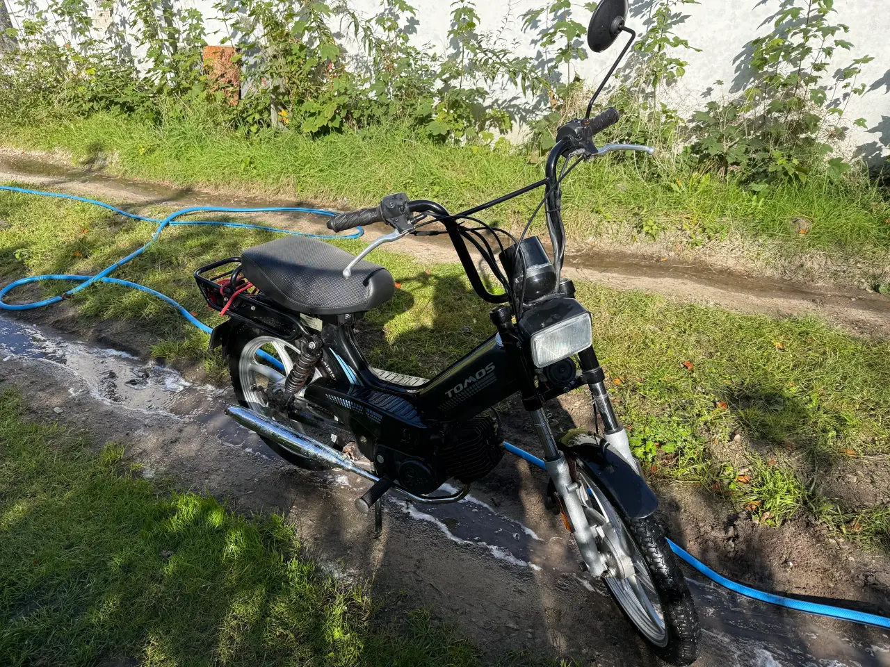 Billede 2 - Tomos standart. Dansk