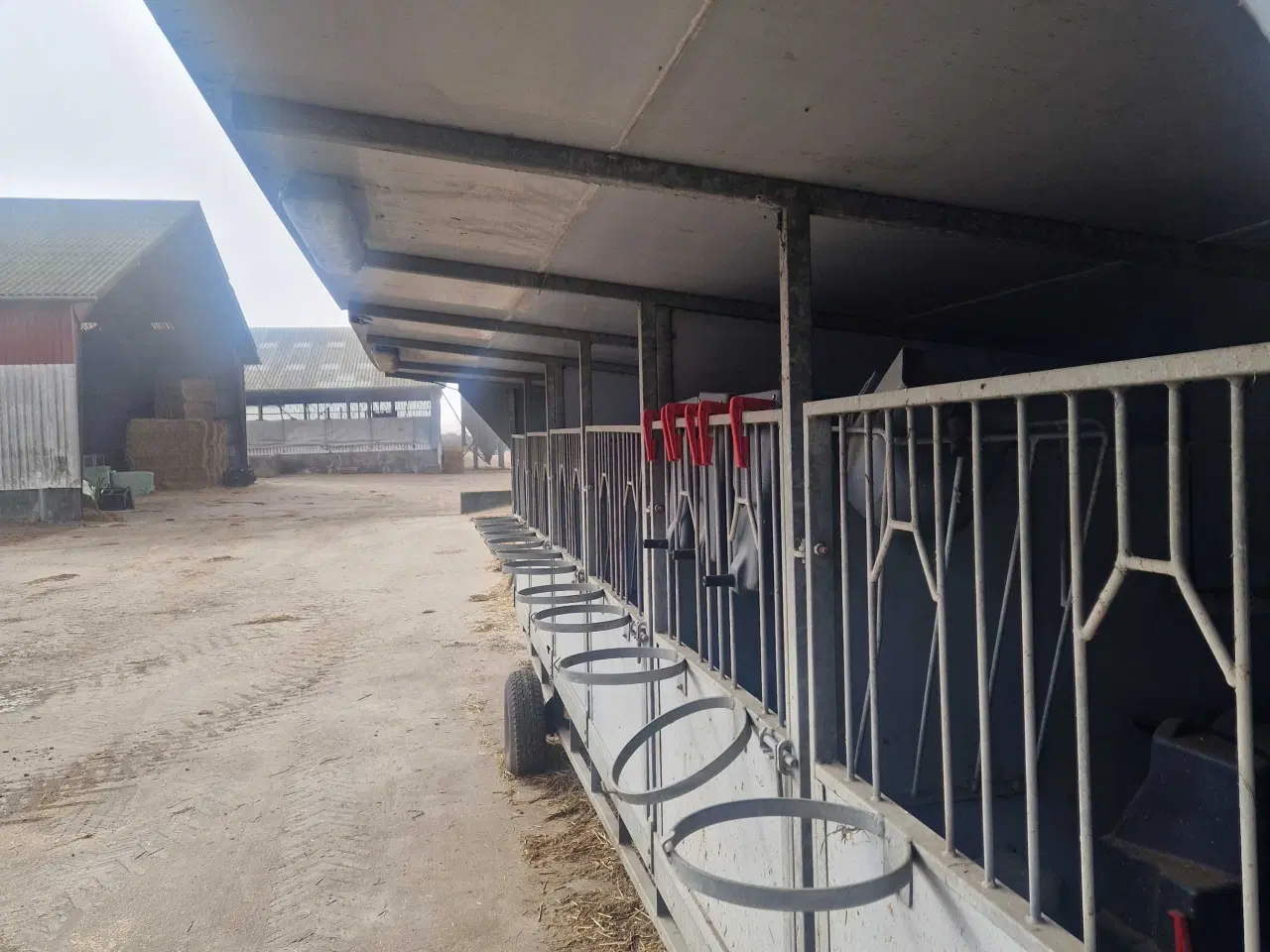 Billede 4 - Kalvevogn