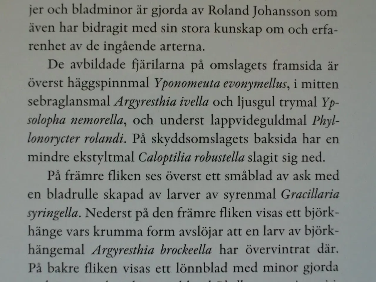 Billede 4 - fjärilar: bronsmamalar-rullvingemalar. lepidoptera