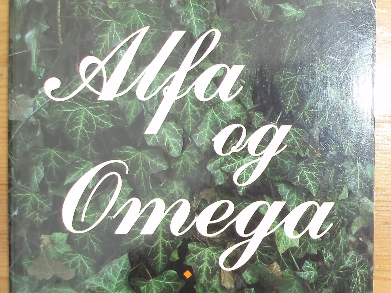 Billede 1 - Sundhedens Alfa og Omega