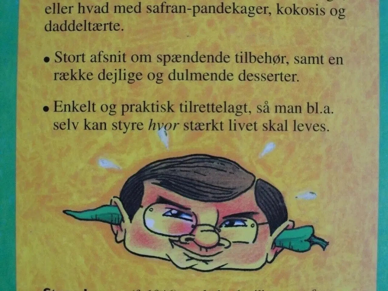 Billede 3 - lev stærkt - krydret mad fra hele verden, af steen