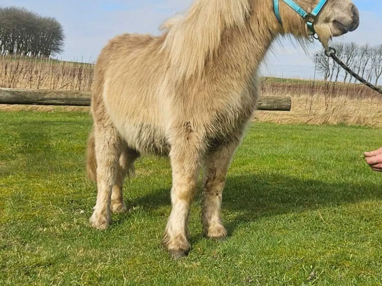 Billede 7 - 2 unikke drenge med fuld tavle 