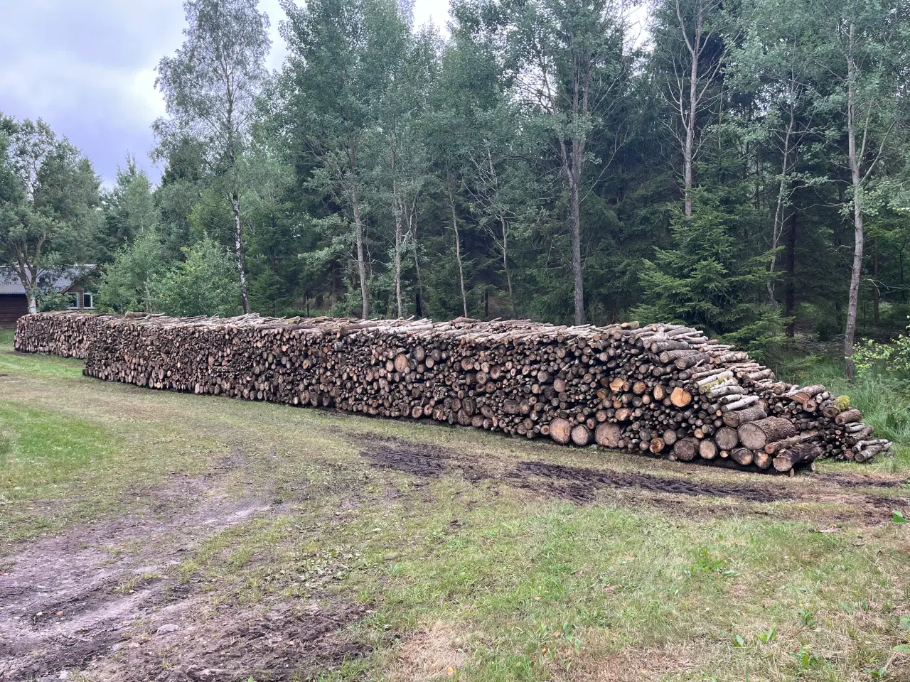 Billede 1 - Container m. 20 skovrummeter løvtræ inkl. levering