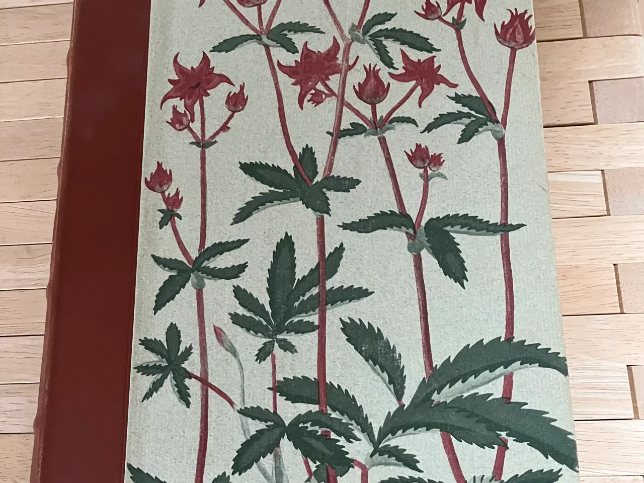 Billede 3 - Danmarks Vilde Planter