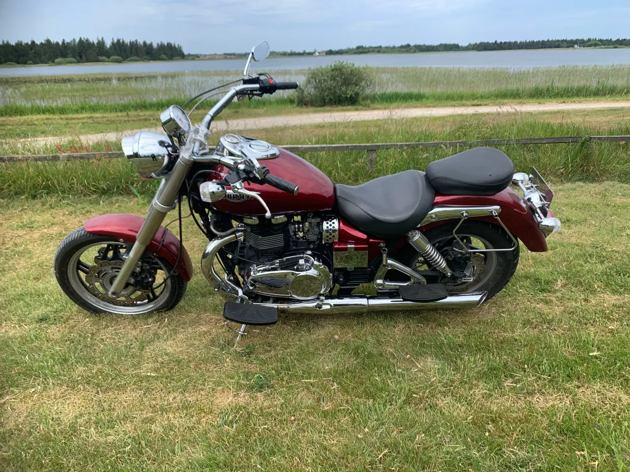 Billede 2 - Triumph Speedmaster 900