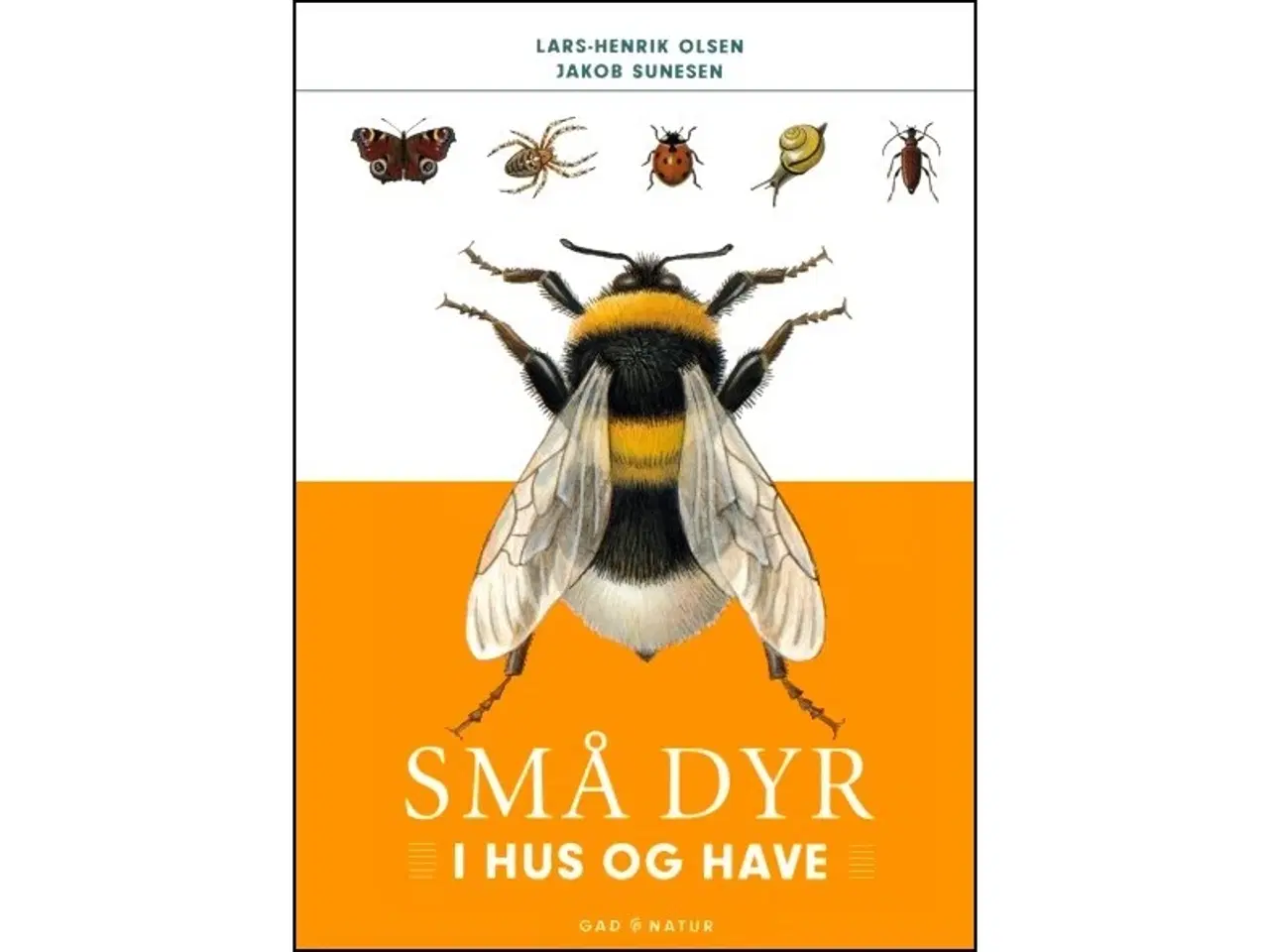 Billede 1 - Små dyr i hus og have