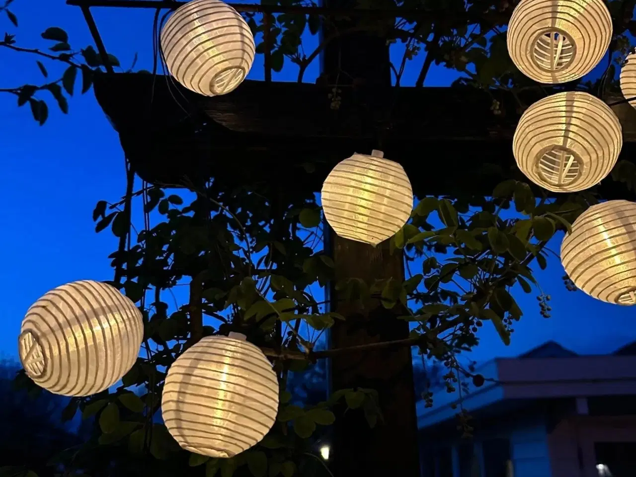 Billede 2 - Rislampe lyskæde