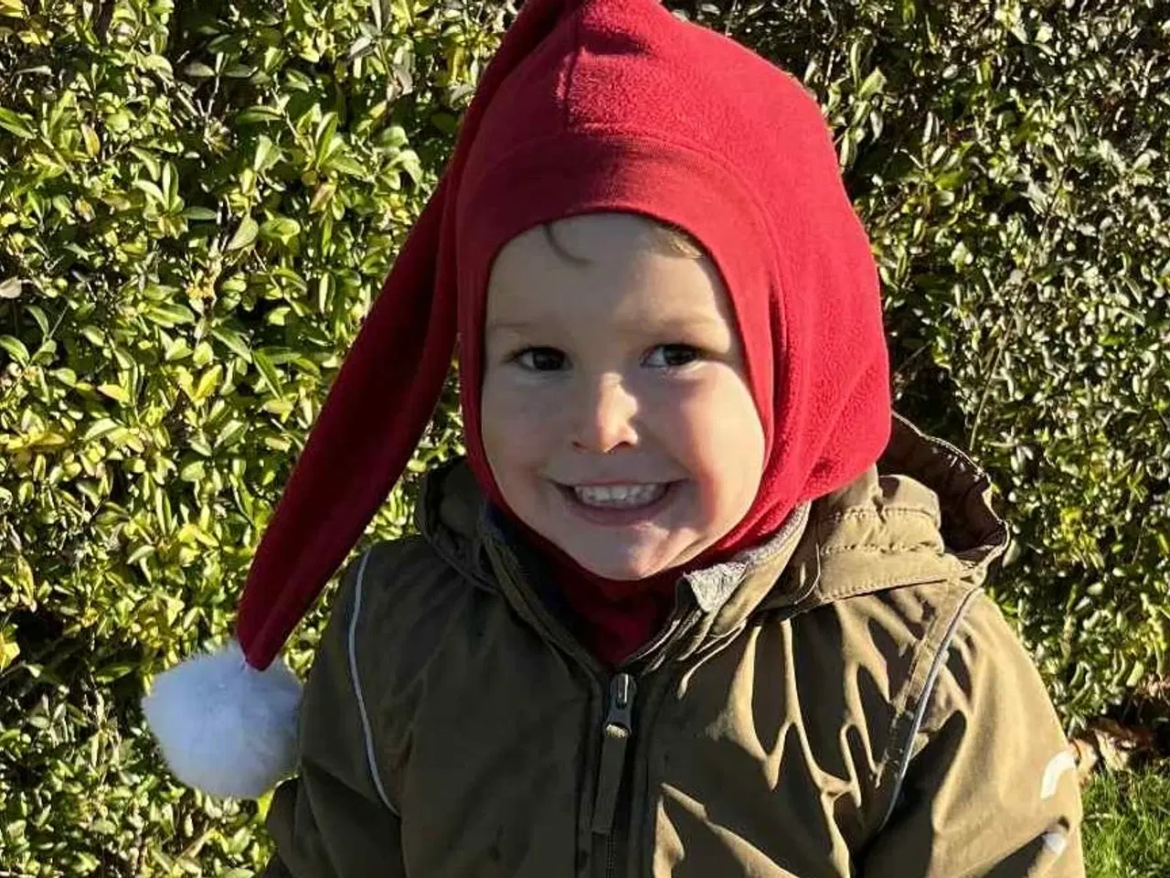 Billede 1 - Elefant nissehue uld /øko bomuld