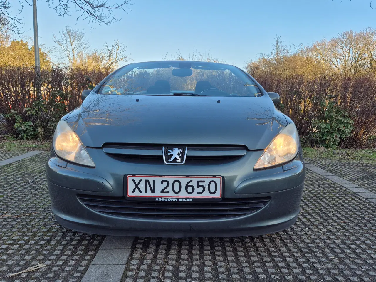 Billede 2 - Peugeot 307 cabriolet 