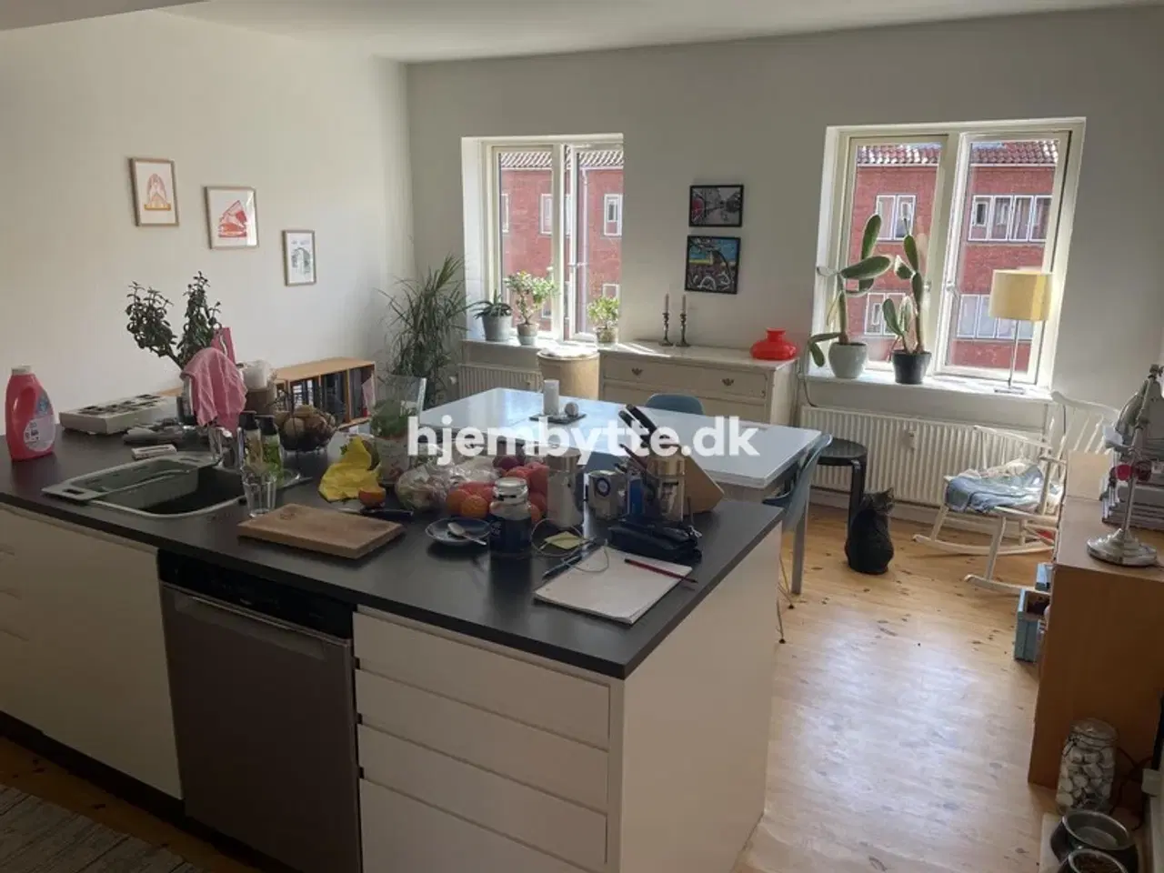 Billede 2 - Hjembytte - Tværvangen