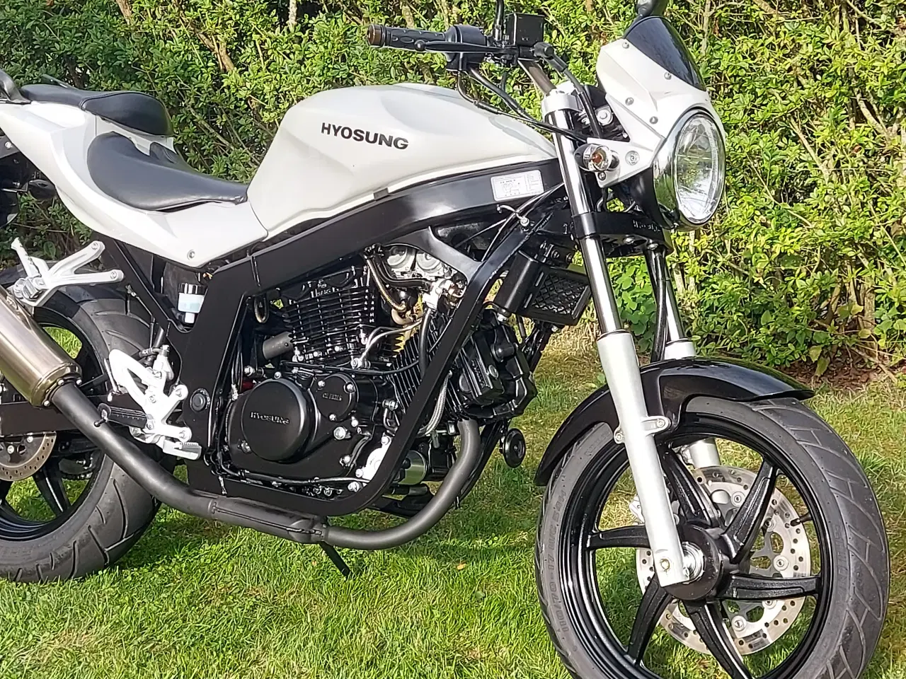 Billede 3 - Hyosung GT 125 Naked