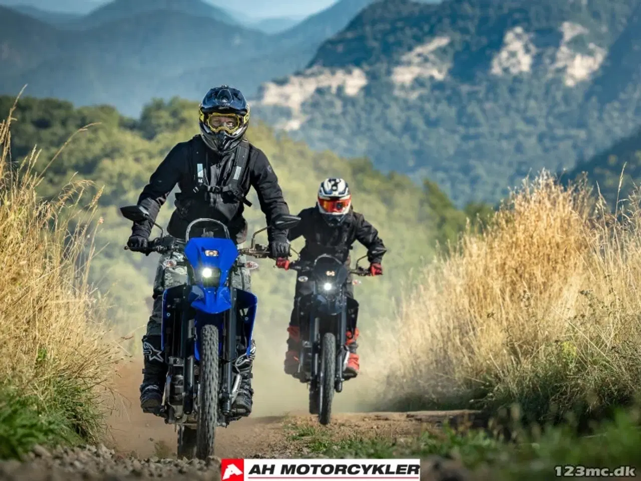 Billede 16 - Yamaha WR 125 R Icon Blue