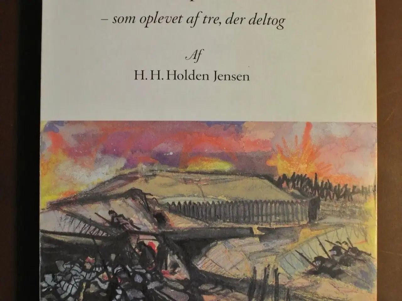 Billede 1 - kampen ved skanse V den 18. april 1864 - som oplev