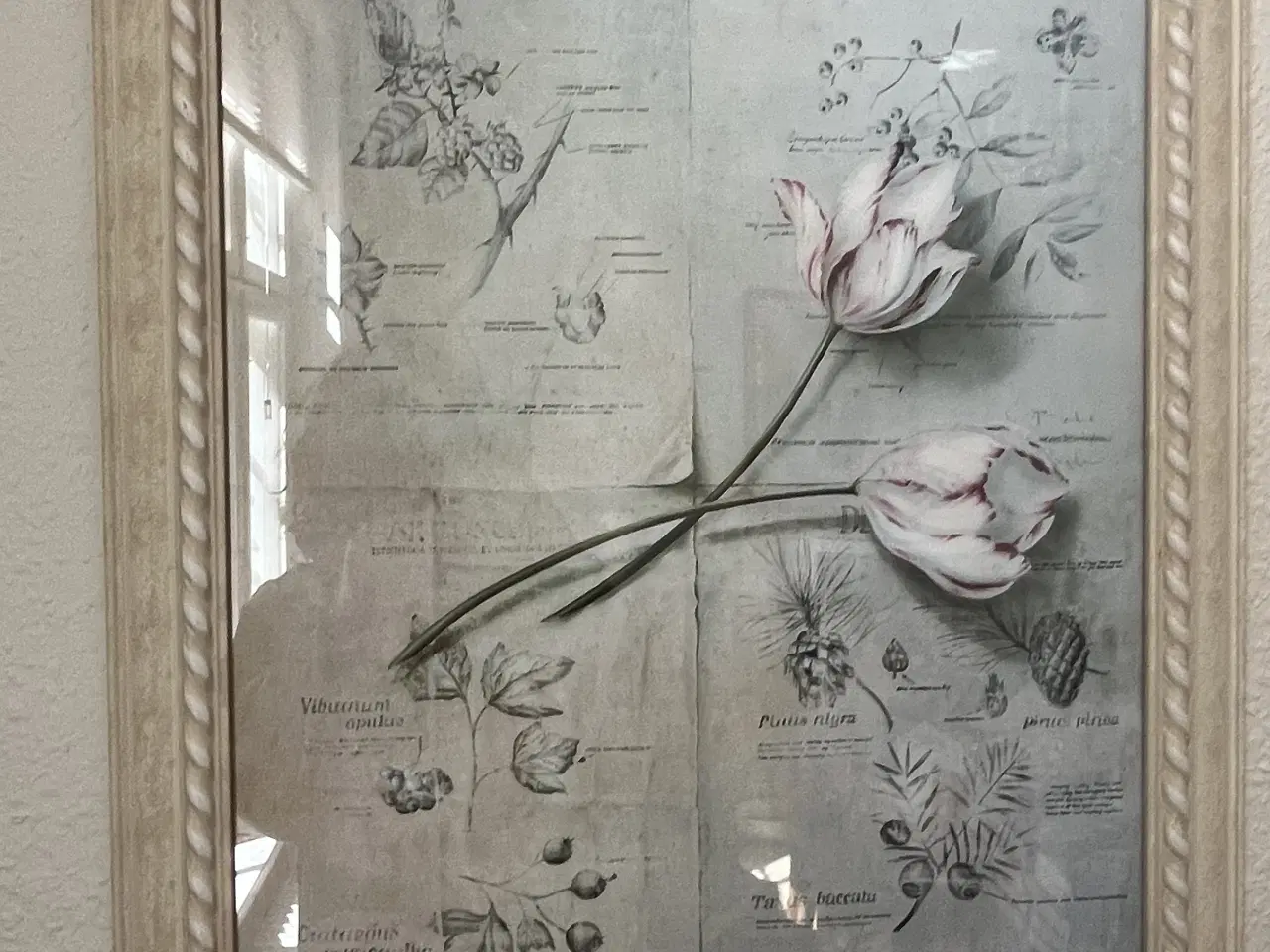 Billede 1 - Billede 63x53