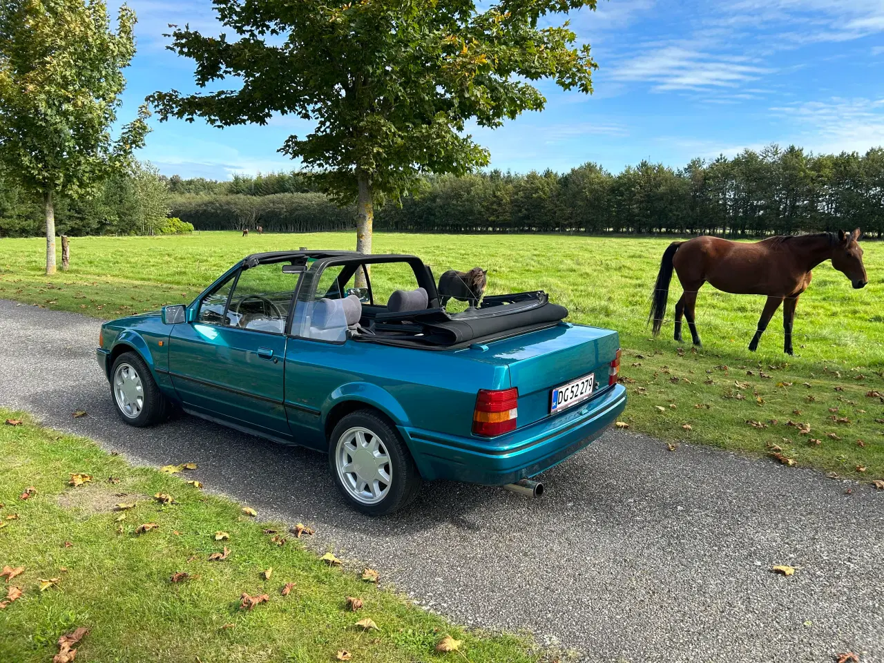 Billede 9 - Ford Escort 1984
