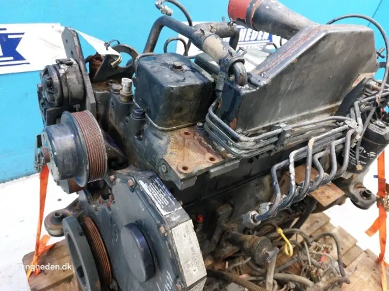 Billede 6 - Cummins 6TA-590 Motor 183841A4