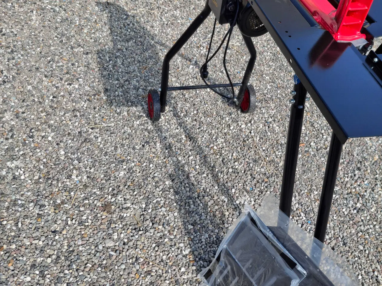 Billede 6 - Høj Brændekløver fra 2022