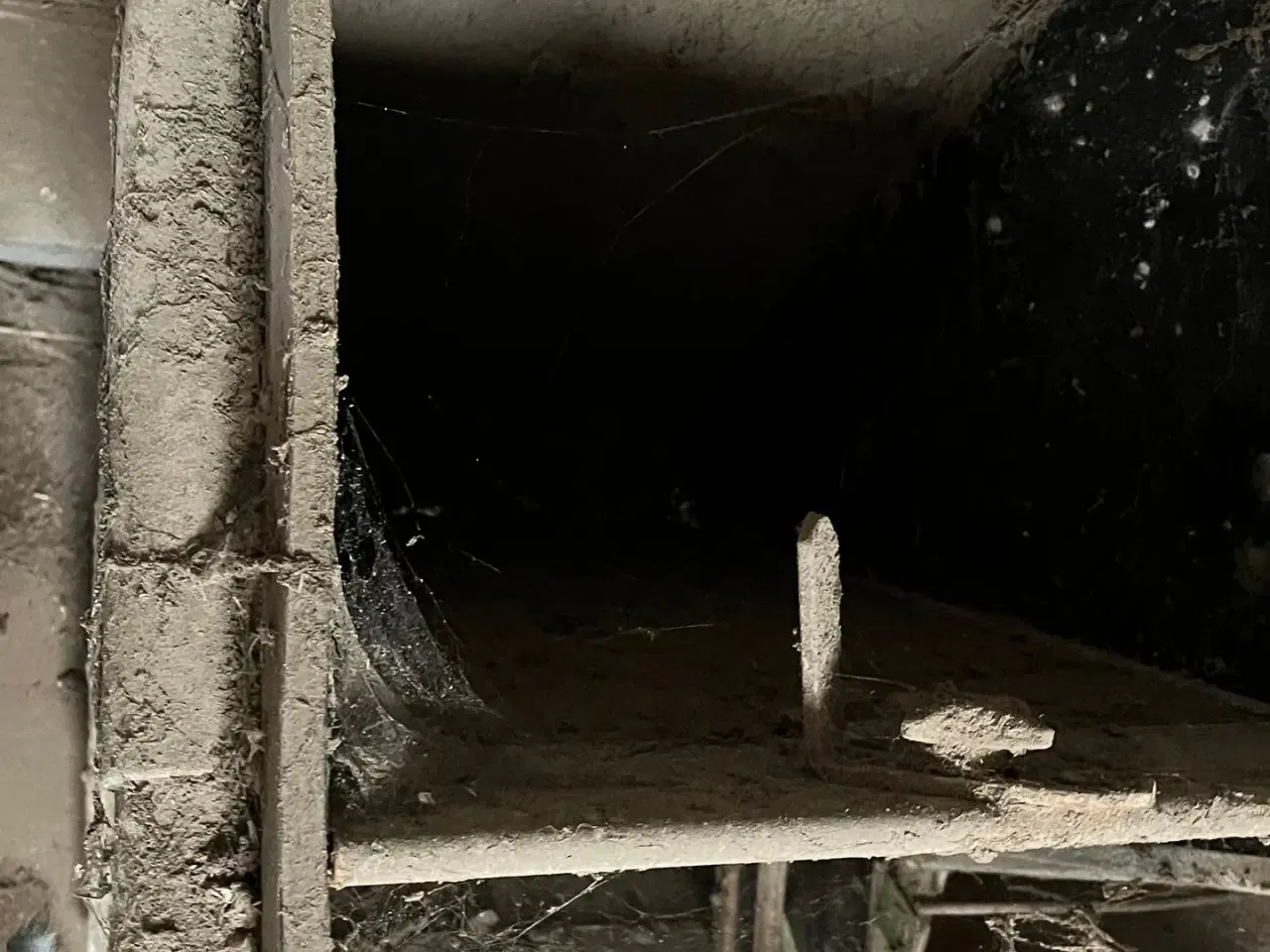 Billede 3 - - - - til kvæg