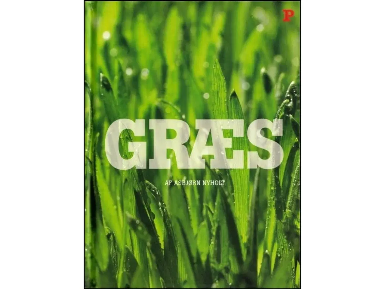 Billede 1 - Græs