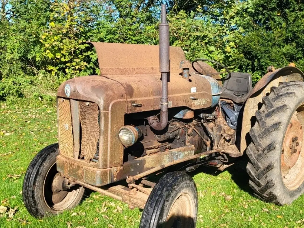 Billede 1 - Fordson Major benzin