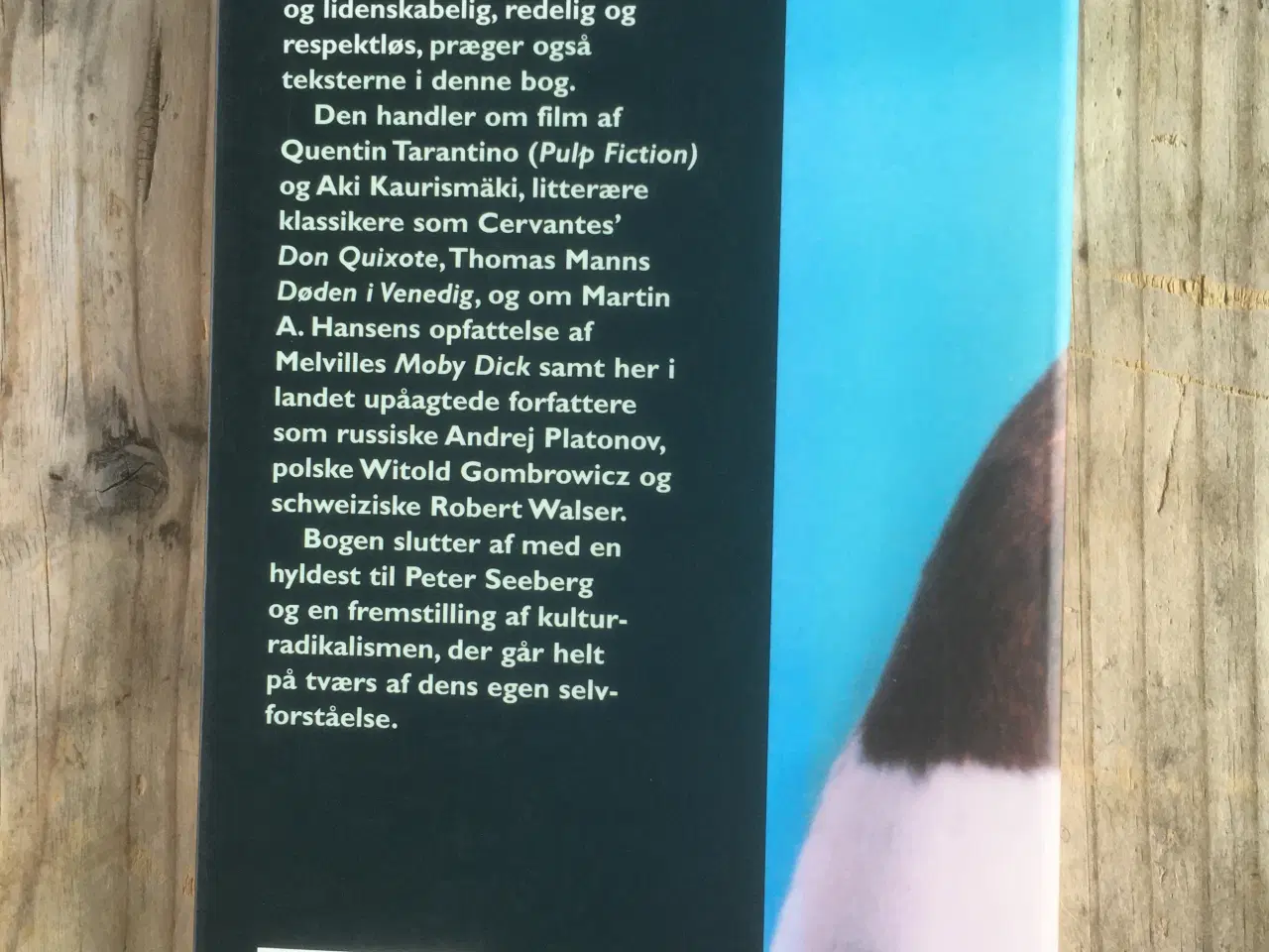 Billede 2 - Kritiske tekster, emne: film og litteraturhistorie