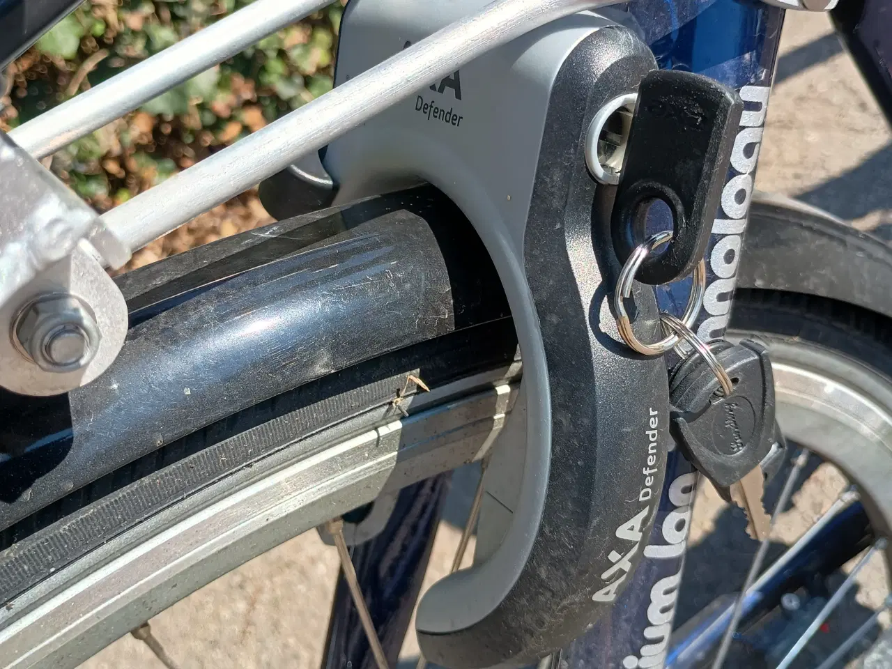 Billede 10 - Elvira Madigan New Generation.