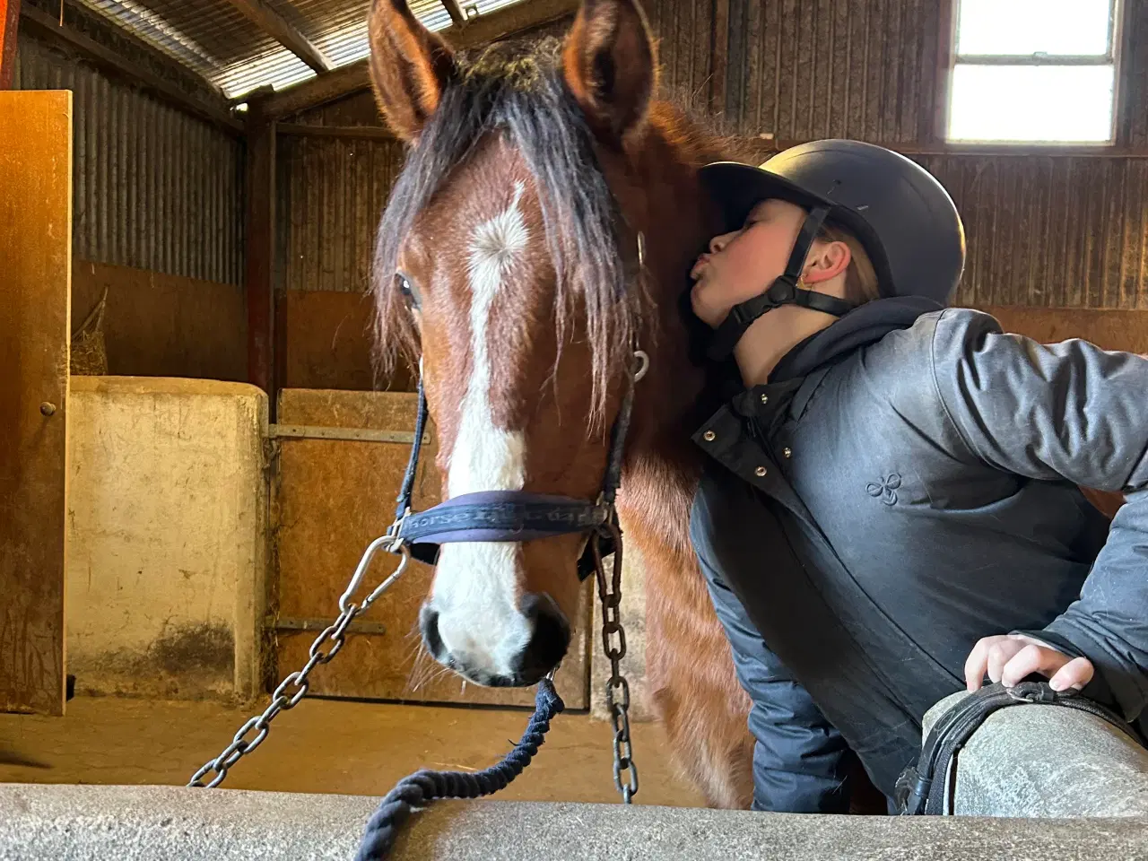 Billede 3 - Fantastisk welsh pony