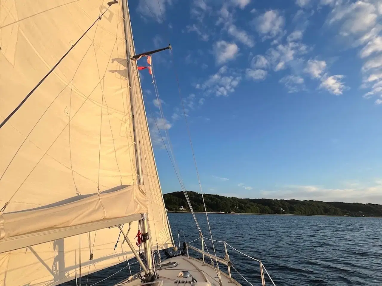 Billede 6 - Albin Scampi 30 skarp pris