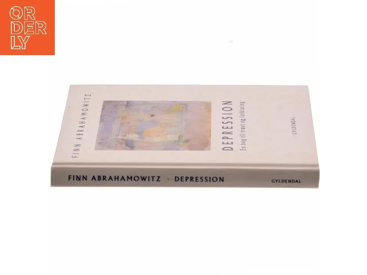 Billede 2 - Depression : en bog til trøst og forklaring af Finn Abrahamowitz (Bog)