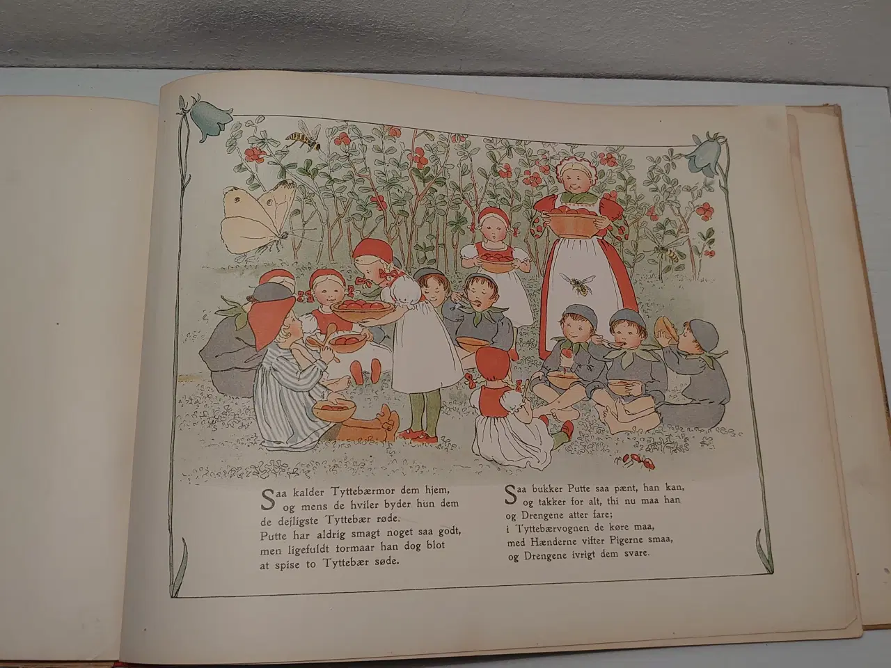 Billede 6 -  Beskow:Puttes Eventyr i Blaabærskoven.1.udg.1915