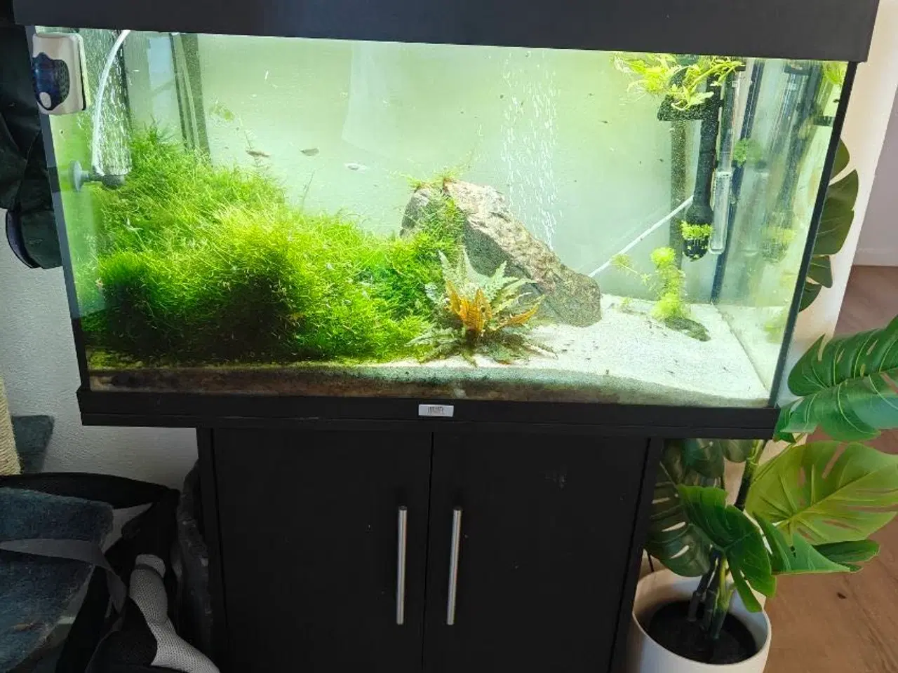 Billede 1 - Akvarie 