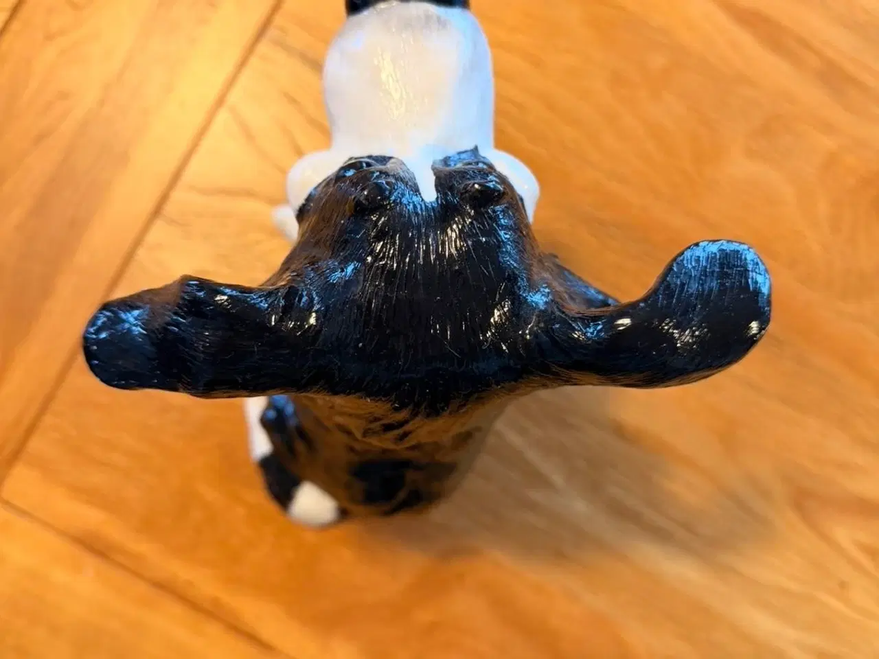 Billede 4 - GLEN Pets with personality 