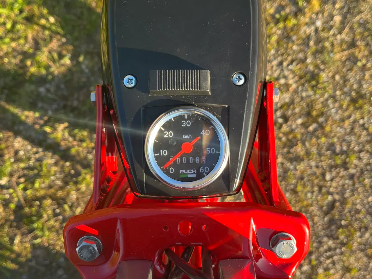 Billede 7 - Puch Maxi P