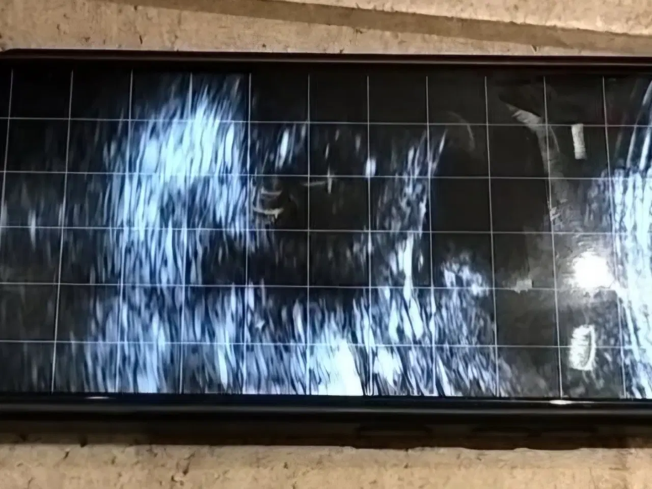 Billede 1 - Springer Doodle hvalpe