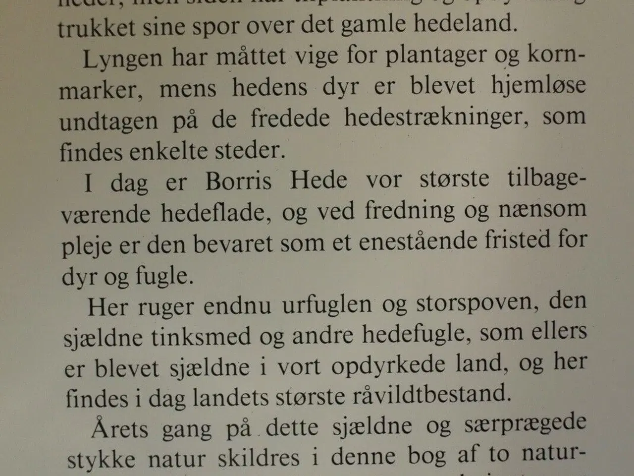 Billede 2 - borris hede, Af sigurd rosendahl. ill. af leif rag