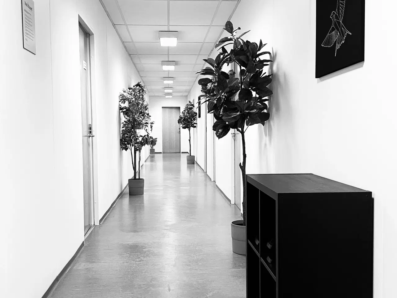 Billede 2 - Lej et kontor med masser af muligheder