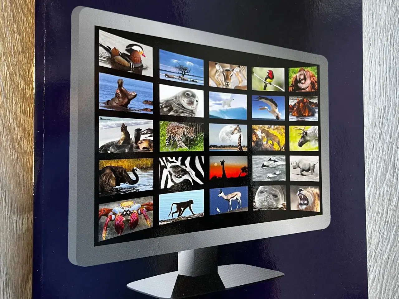 Billede 4 - Bøger om naturfilm