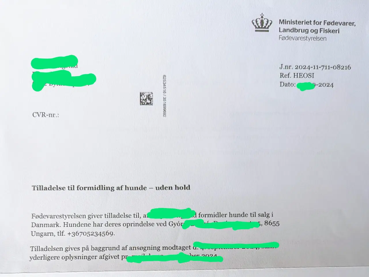 Billede 5 - Nyfødte Fransk bulldog hvalpe.