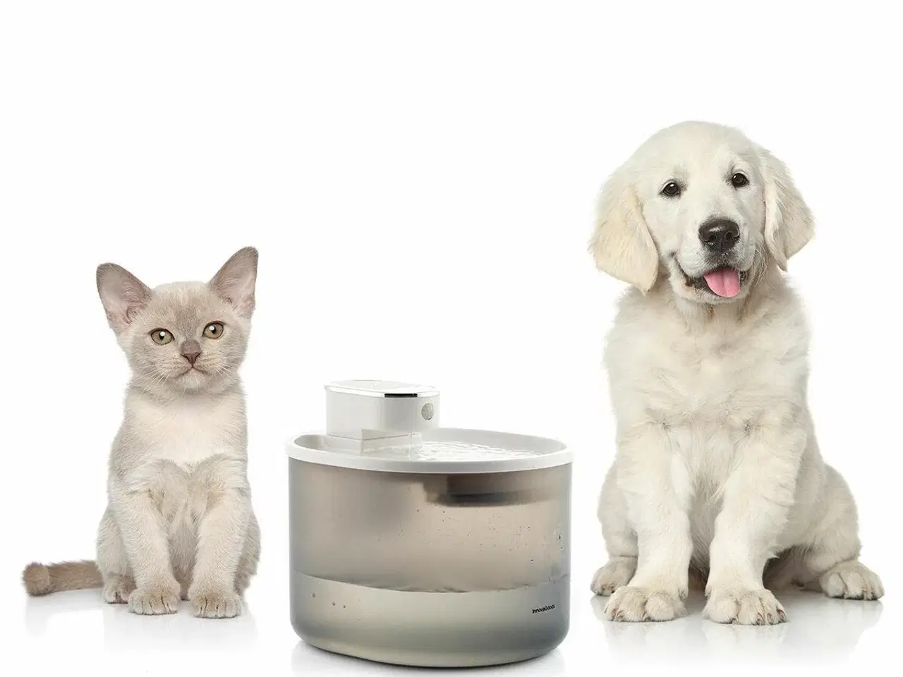Billede 5 - Genopladelig drikkefontæne til katte med sensor Refopet InnovaGoods