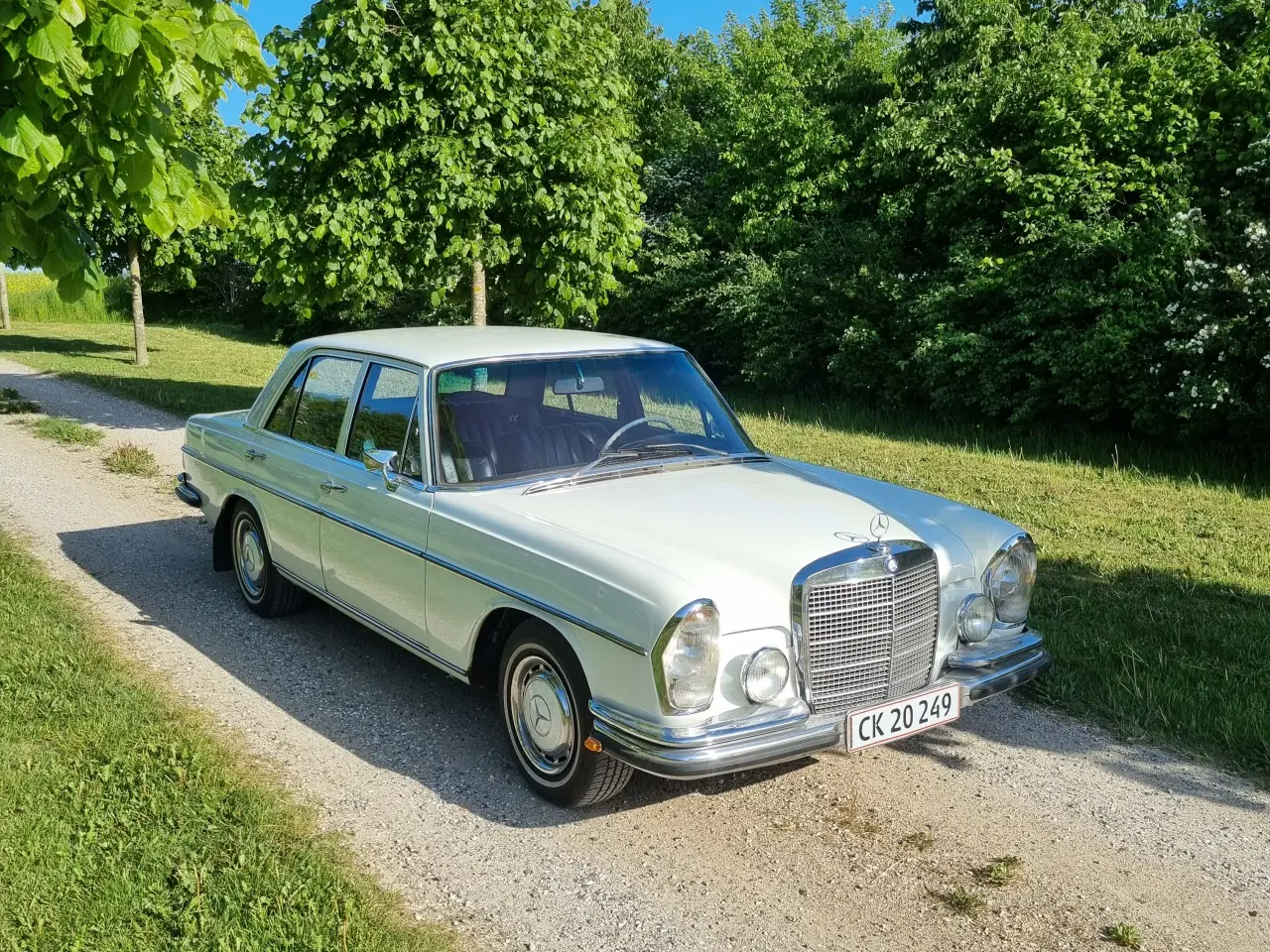 Billede 4 - Mercedes 280se 1968