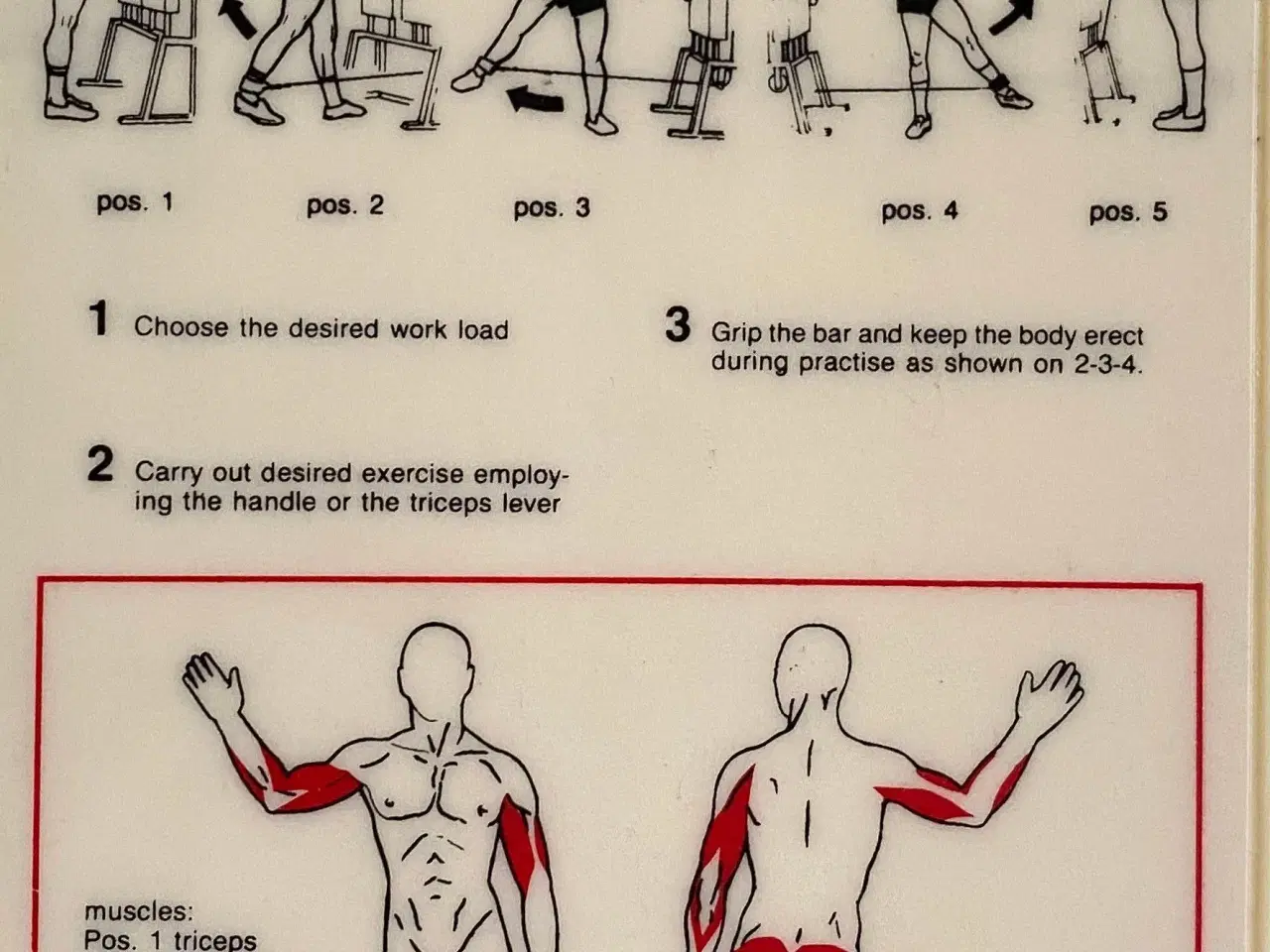 Billede 1 - Træningssamlinger til primært biceps og triceps 