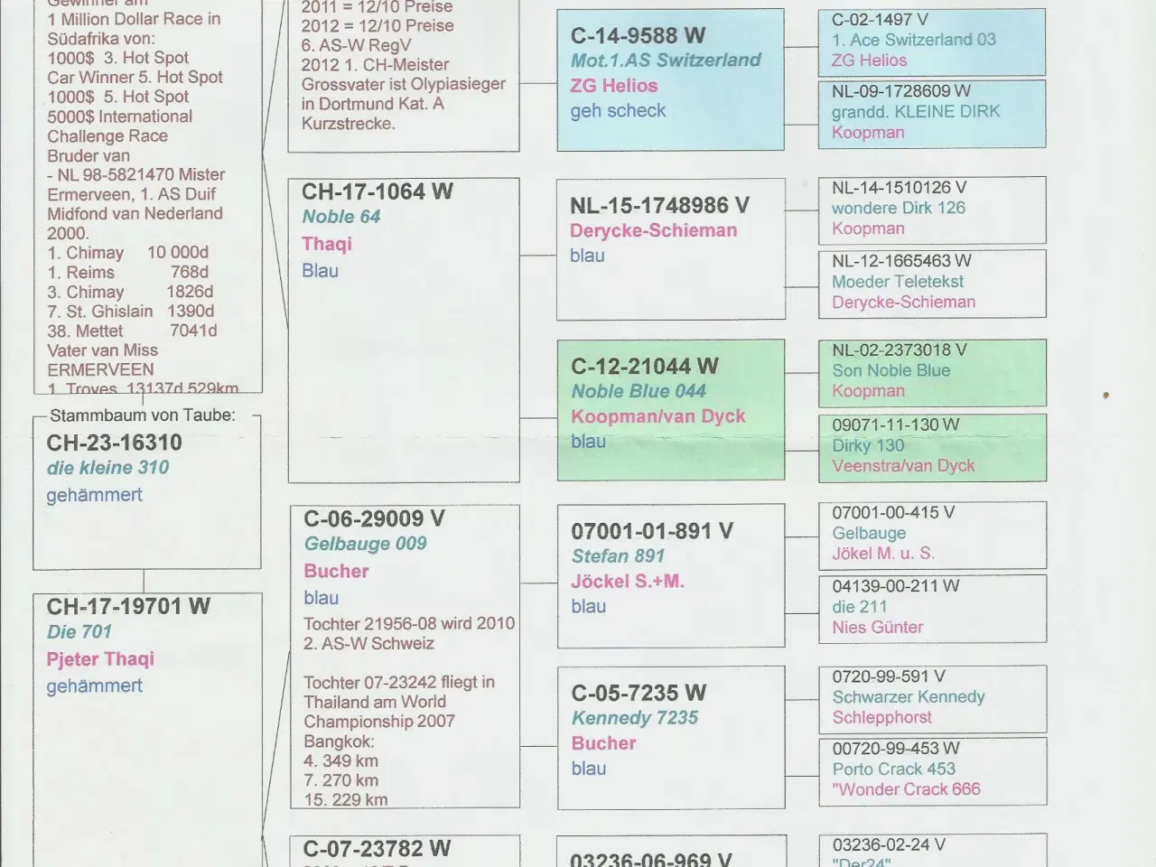 Billede 1 - Brevduer unger med DFK ringe og stamtavle