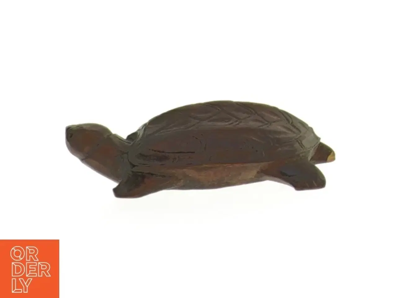 Billede 4 - sten skildpadder (str. 5-7 cm)